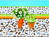 Jeu Jardin fleurs