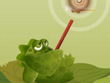 Jeu Frogee shoot